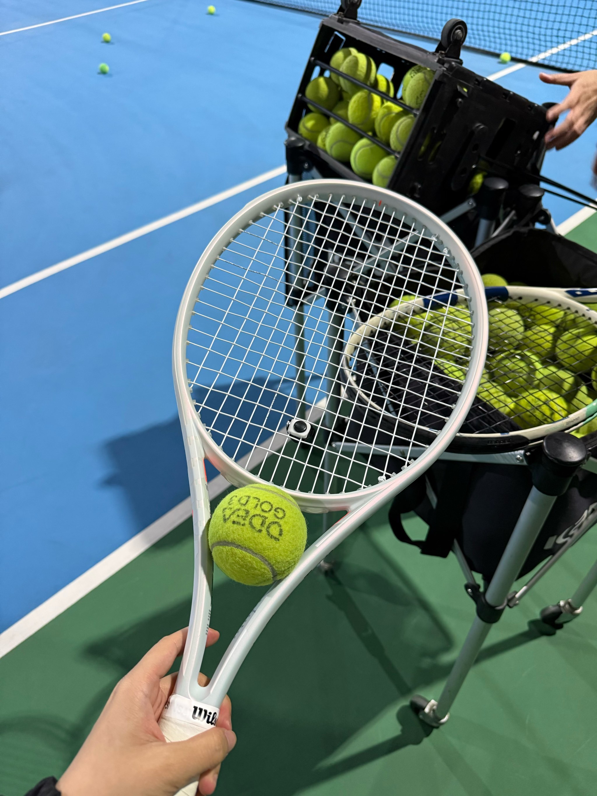 年征战和无 年征战和无