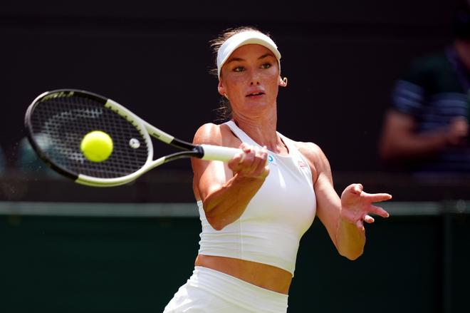 熊的启示 熊的启示