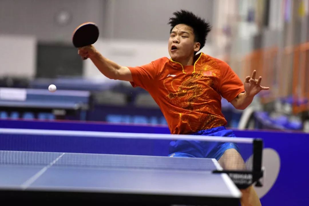 韧性与适应 韧性与适应