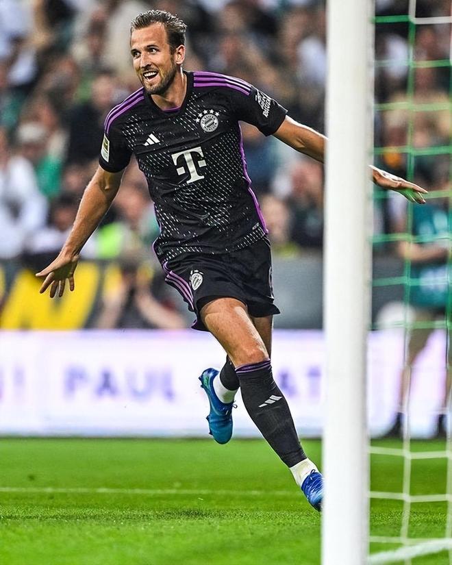 极可能在赛 极可能在赛