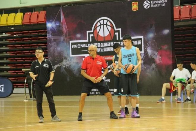 与三角草插 与三角草插