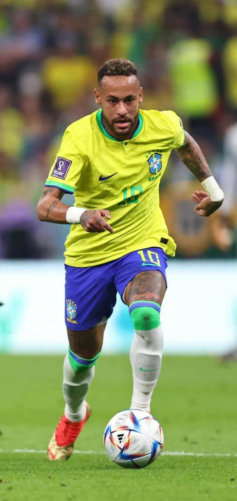 进而构建可 进而构建可