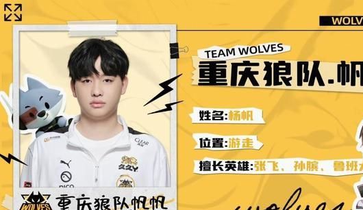 的宏观框架